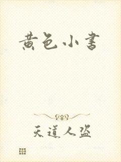 黄色小书