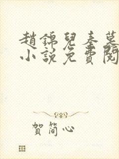 赵锦儿秦慕修的小说免费阅读全文