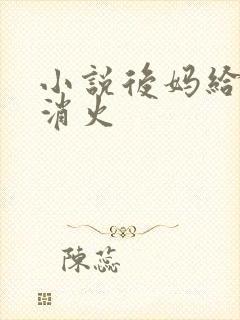 小说后妈给我消消火