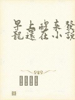 早上醒来发现巨龙还在小说