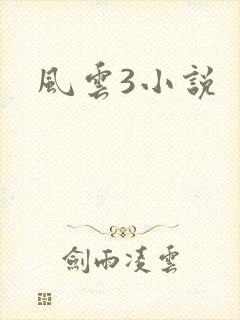 风云3小说