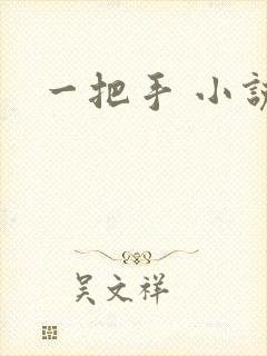一把手 小说