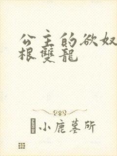 公主的欲奴h四根双龙