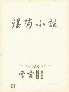 爆菊小说