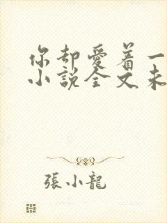 你却爱着一个他小说全文未删减免费