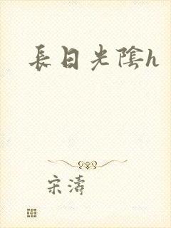 长日光阴h