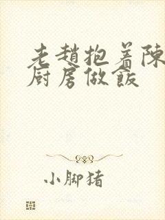 老赵抱着陈婷在厨房做饭