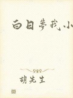 白日梦我小说