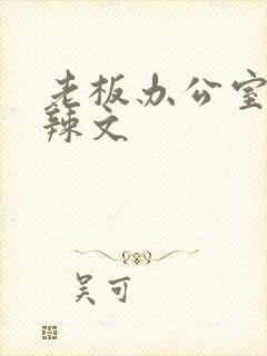 老板办公室系列辣文