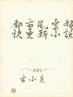 都市风云超前超快更新小说