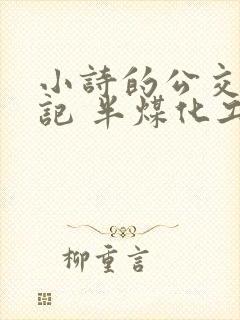 小诗的公交车日记 半煤化工