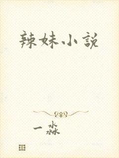 辣妹小说
