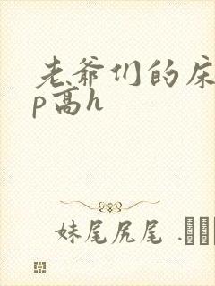 老爷们的床奴np高h