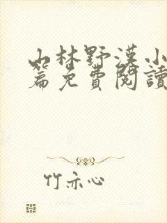 山林野汉小说全篇免费阅读