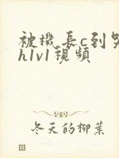 被机长c到哭高h1v1视频