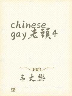 chinesegay老头4