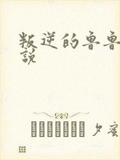 叛逆的鲁鲁修小说