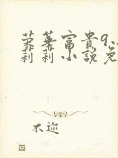 荣华富贵9小王莉莉小说免费阅读