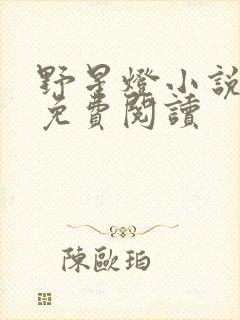 野星灯小说全文免费阅读