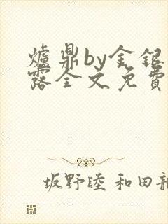 炉鼎by金银花露全文免费阅读笔趣阁