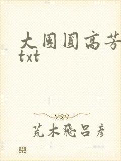大团圆高芳小说txt
