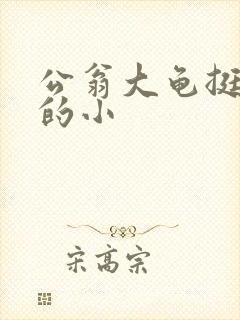 公翁大龟挺进我的小