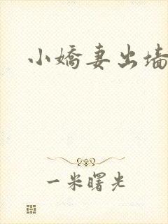 小娇妻出墙记