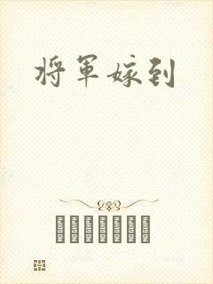 将军嫁到