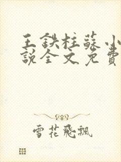 王铁柱苏小汐小说全文免费阅读最新章节