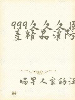 999久久久国产精品消防器材