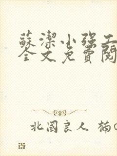 苏洁小强工地情全文免费阅读