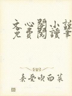 文心阁小说全文免费阅读笔趣阁