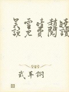 吴雪晴赵晓东小说免费阅读