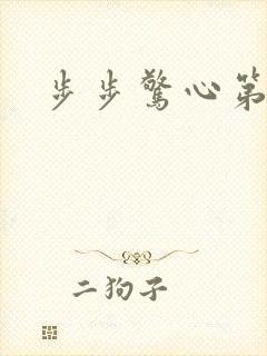 步步惊心第二部