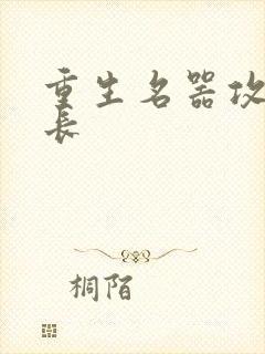 重生名器攻略兄长