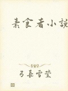素食者小说