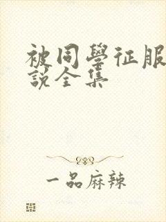 被同学征服的小说全集