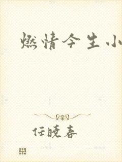 燃情今生小说