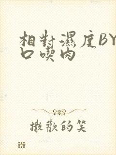 相对湿度BY大口吃肉