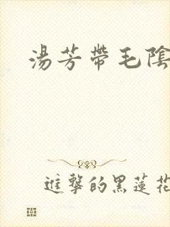 汤芳带毛阴部