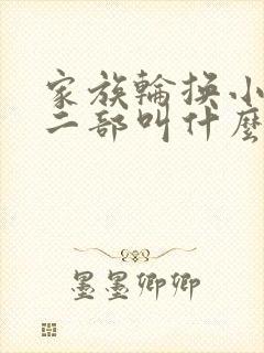 家族轮换小说第二部叫什么名字