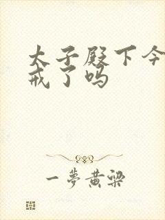 太子殿下今天破戒了吗