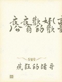 夜夜欢好(高h)公翁的欢爱