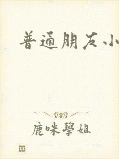 普通朋友小说