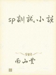 sp训诫小说