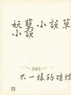 妖孽小说草莓酱小说