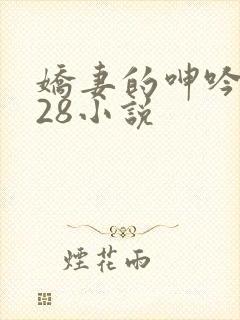 娇妻的呻吟1—28小说