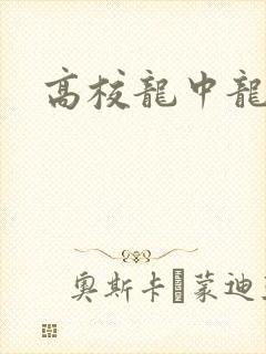 高校龙中龙