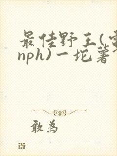 最佳野王(电竞nph)一坨薯饼