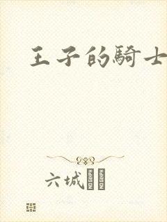 王子的骑士小说